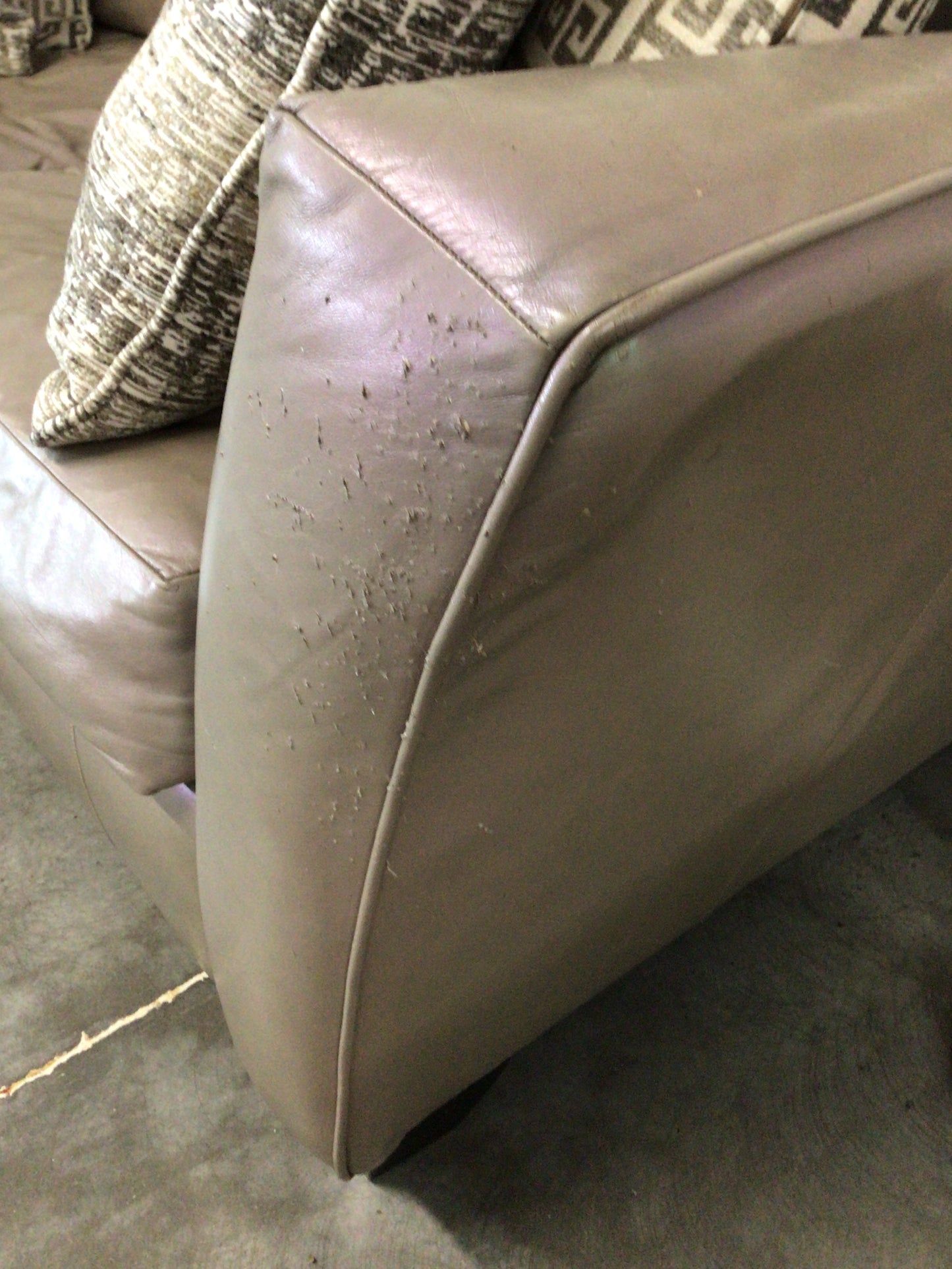 Couch Furniture