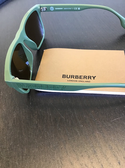 Burberry Green W Accessories